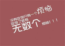 小学生网站有哪些
